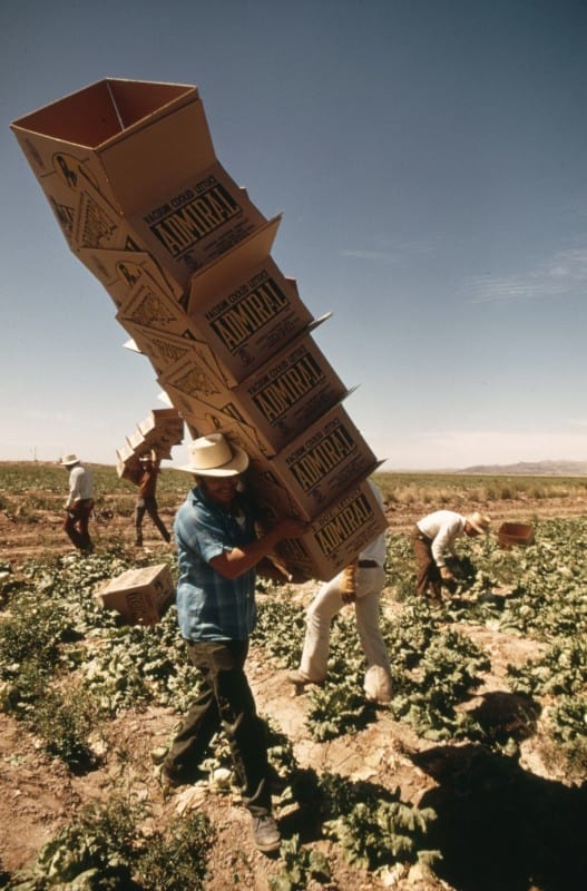 9_Mexican Farm Worker